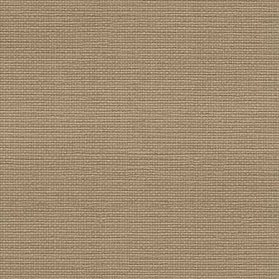 Ref 73529
